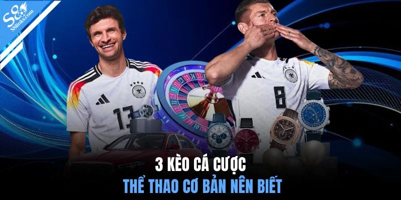 3 kèo cá cược thể thao cơ bản nên biết