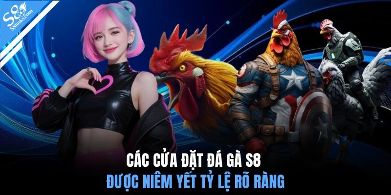 Các cửa đặt đá gà S8 được niêm yết tỷ lệ rõ ràng