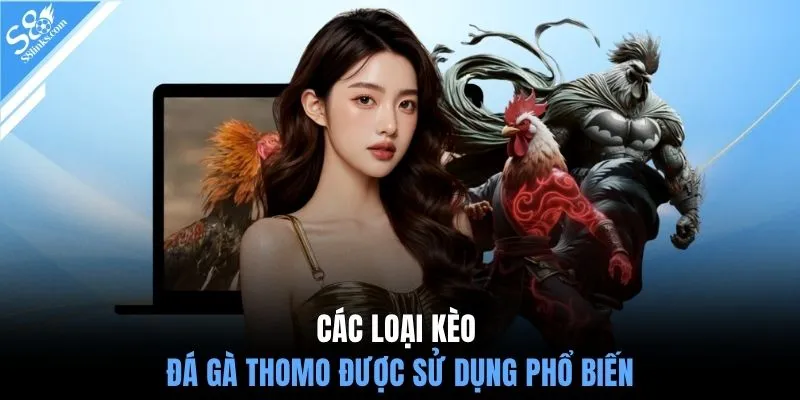 Các loại kèo đá gà Thomo được sử dụng phổ biến 