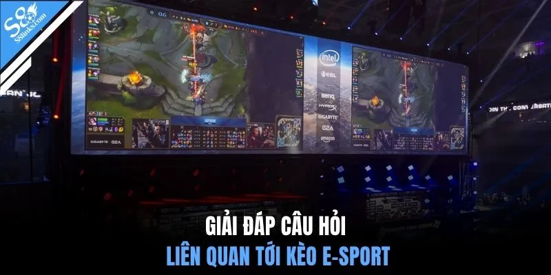 Giải đáp câu hỏi liên quan tới kèo E-Sport