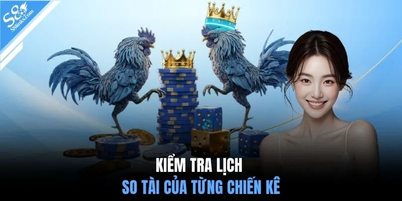 Kiểm tra lịch so tài của từng chiến kê