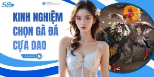 Kinh Nghiệm Chọn Gà Đá Cựa Dao