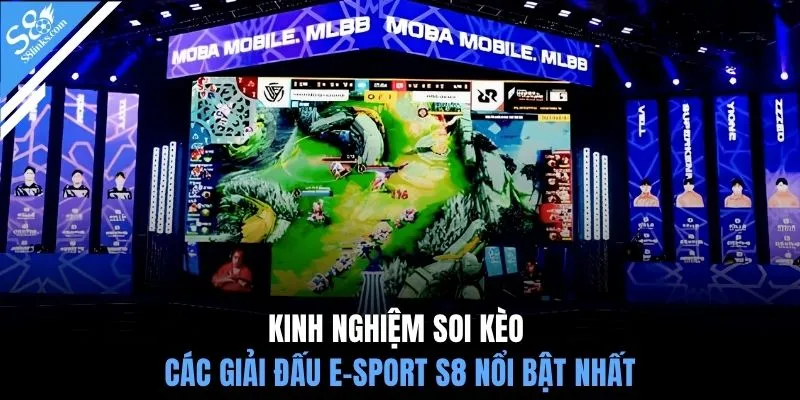 Kinh nghiệm soi kèo các giải đấu e-sport S8 nổi bật nhất