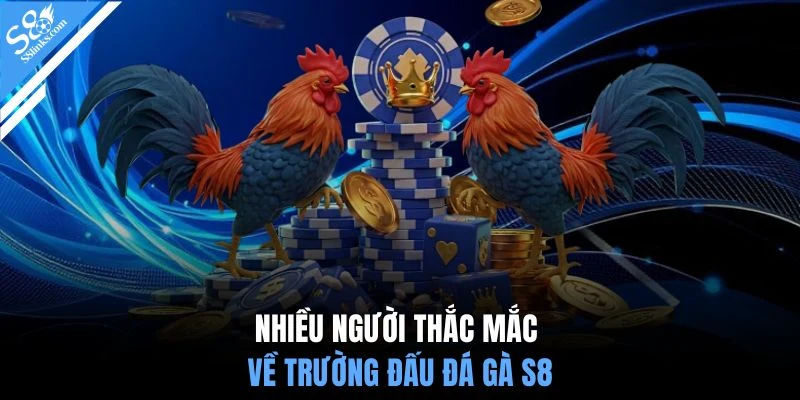 Nhiều người thắc mắc về trường đấu đá gà S8