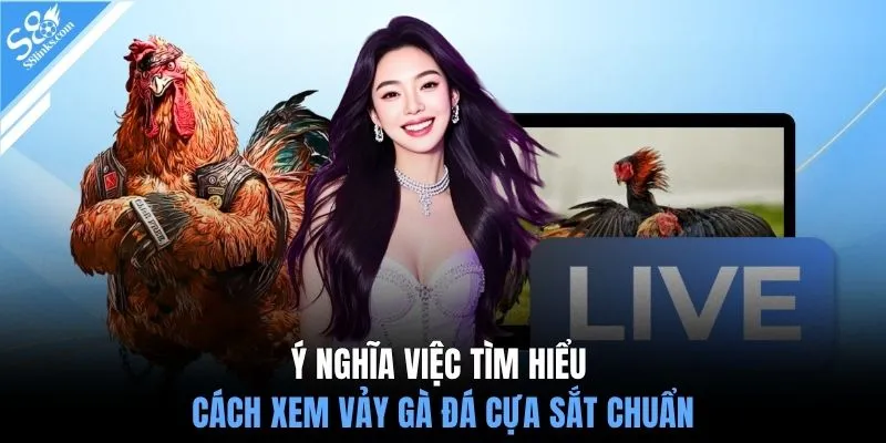 Ý nghĩa việc tìm hiểu cách xem vảy gà đá cựa sắt chuẩn