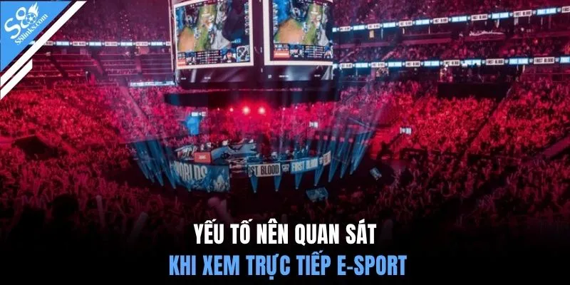 Yếu tố nên quan sát khi xem trực tiếp e-sport